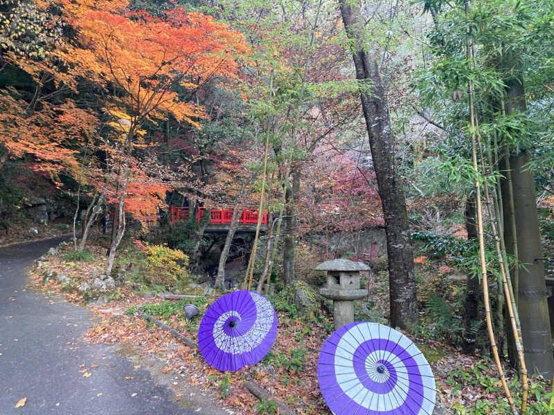 yamatetsuさんの猿投温泉 金泉の湯のサ活写真