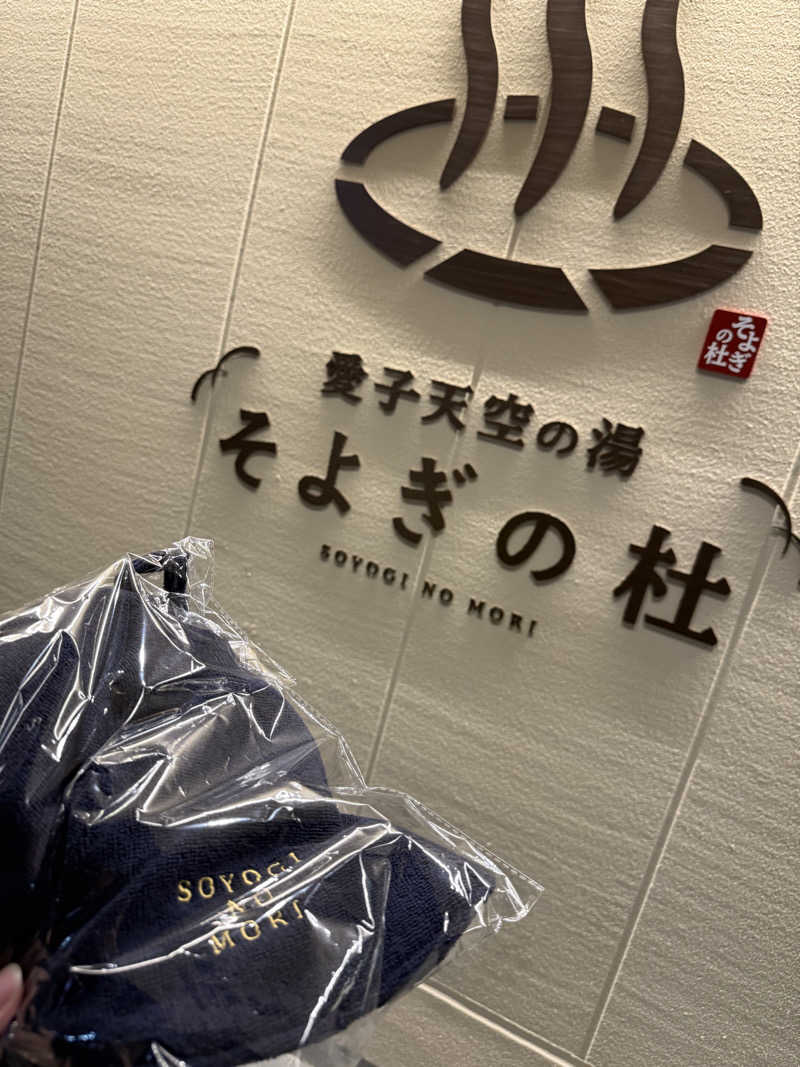アーサーさんの愛子天空の湯 そよぎの杜のサ活写真