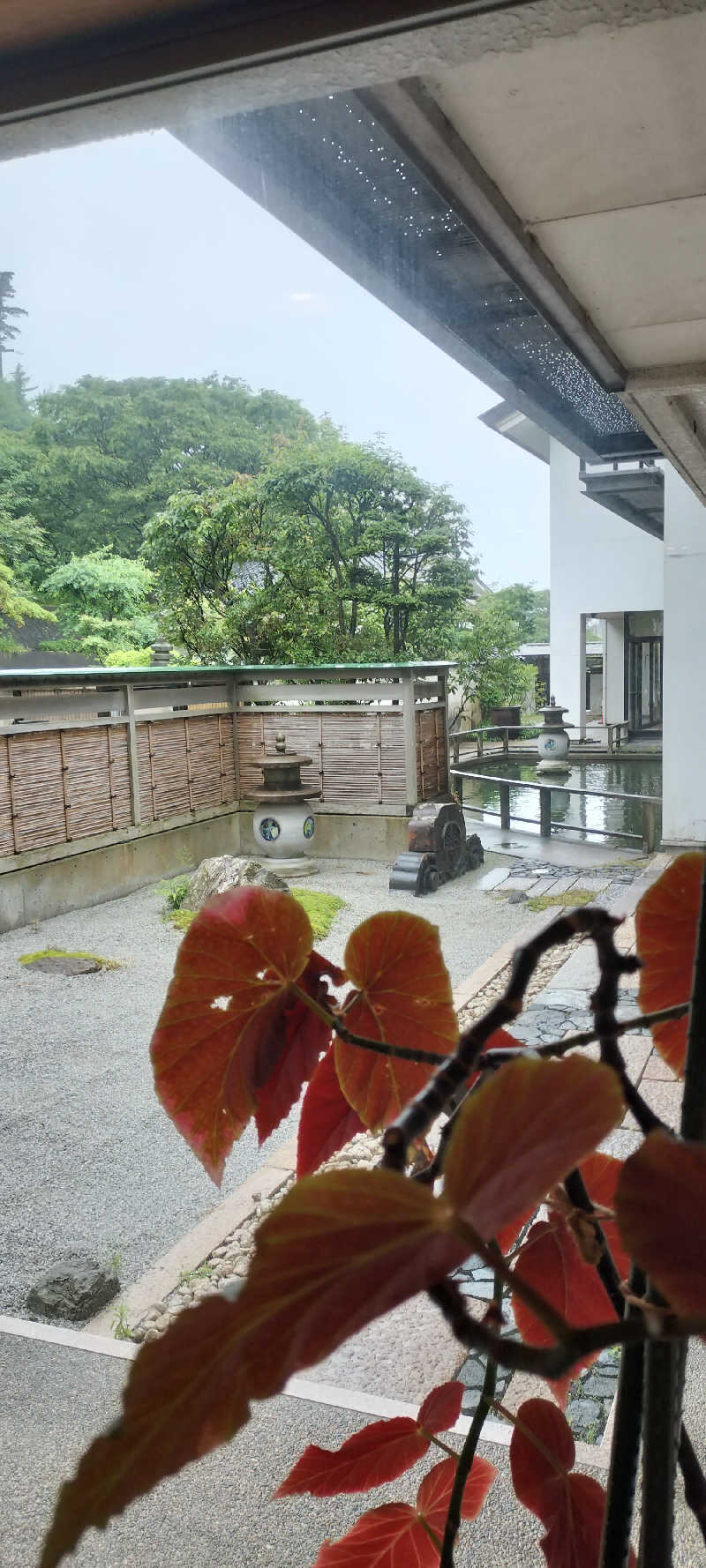 YU-MAさんの龍の湯のサ活写真