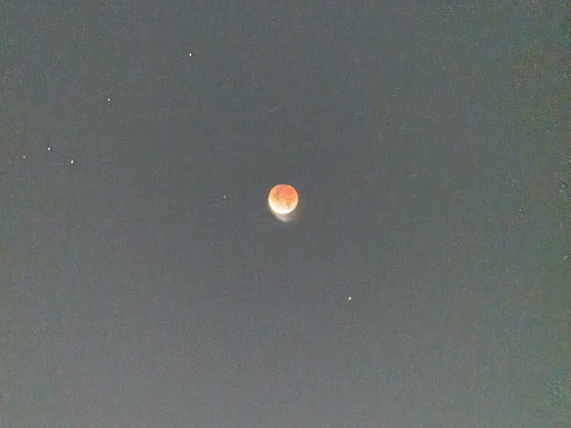 igaoさんの桜湯(さくら湯)のサ活写真
