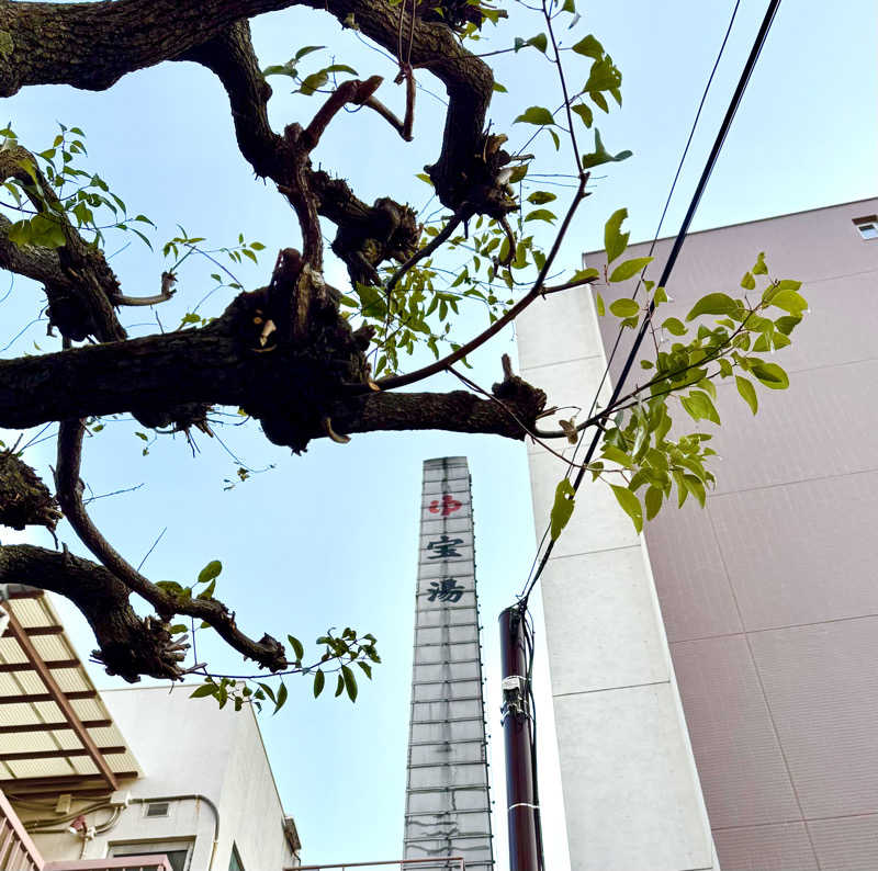 アッキーさんの宝湯のサ活写真