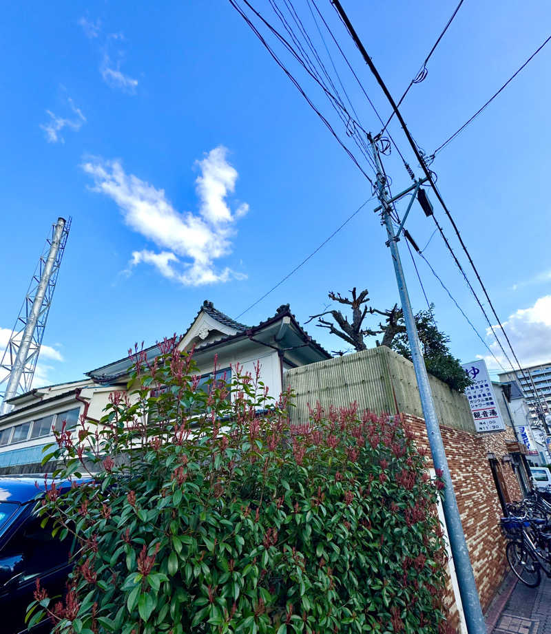 アッキーさんの観音湯のサ活写真