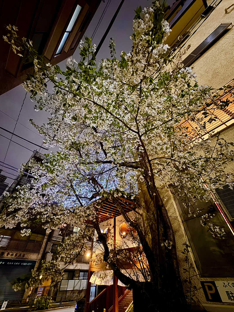 アッキーさんの草津湯のサ活写真