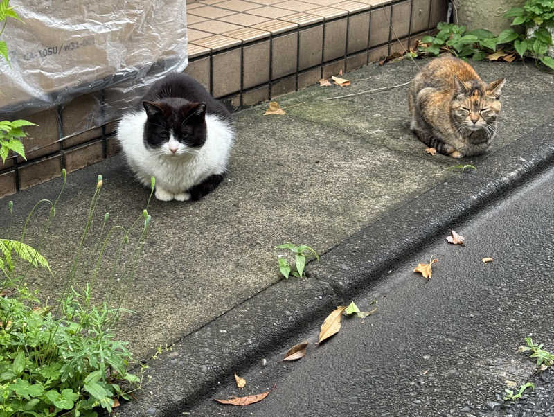 アッキーさんの太平湯のサ活写真