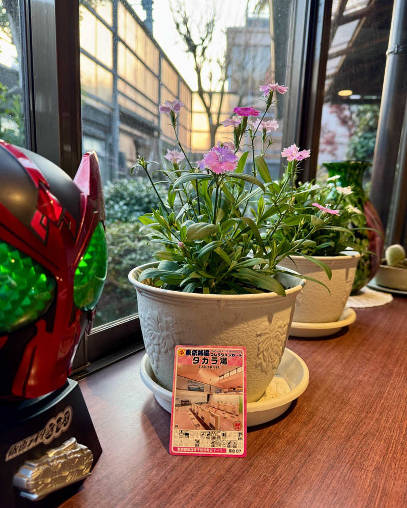 アッキーさんのタカラ湯のサ活写真