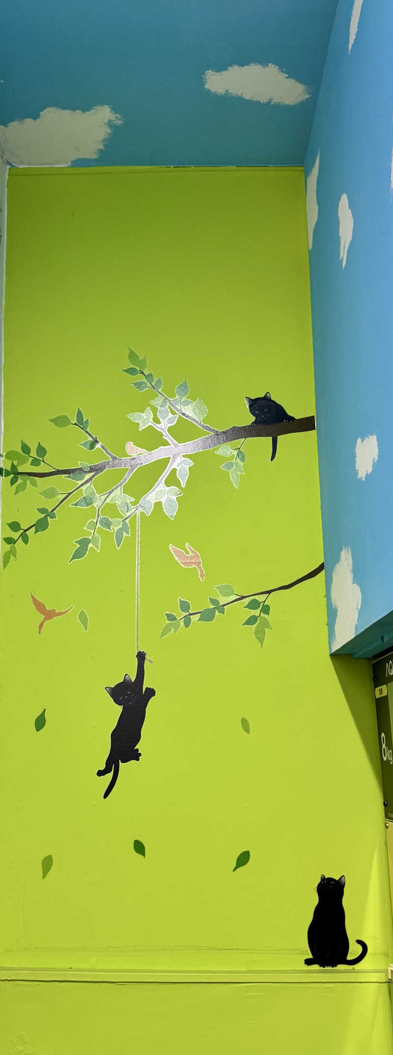 アッキーさんのみどり湯のサ活写真