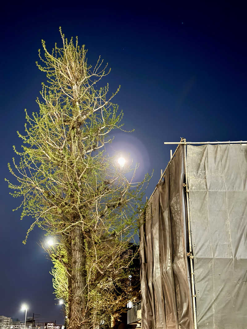 アッキーさんの草津湯のサ活写真