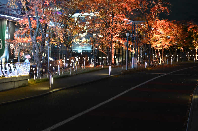 グランクラスしんやさんの生姜サウナ 金の亀のサ活写真