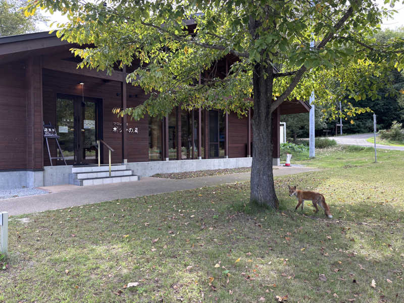 ととちさんの日帰り入浴施設マウレ山荘ポッケの湯のサ活写真