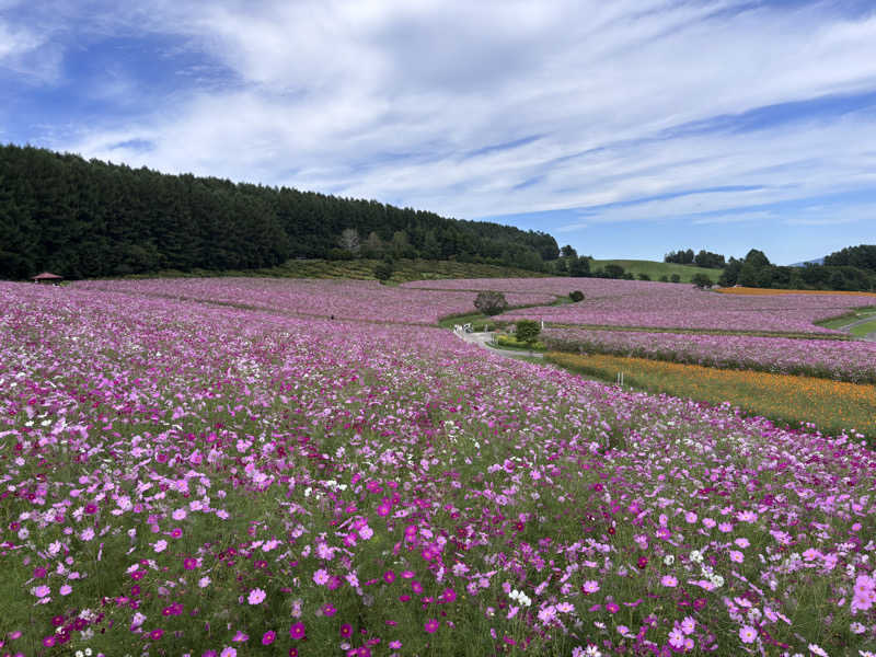 ととちさんの日帰り入浴施設マウレ山荘ポッケの湯のサ活写真