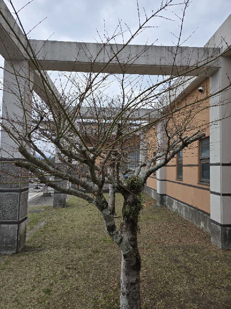 マーライオンさんの海浜温泉ゆうらくのサ活写真