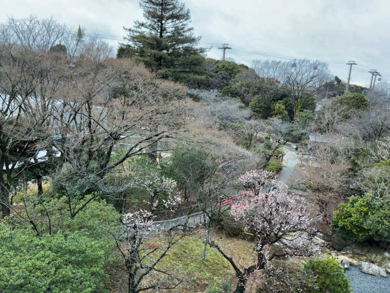 くしさんのよみうりランド眺望温泉 花景の湯のサ活写真