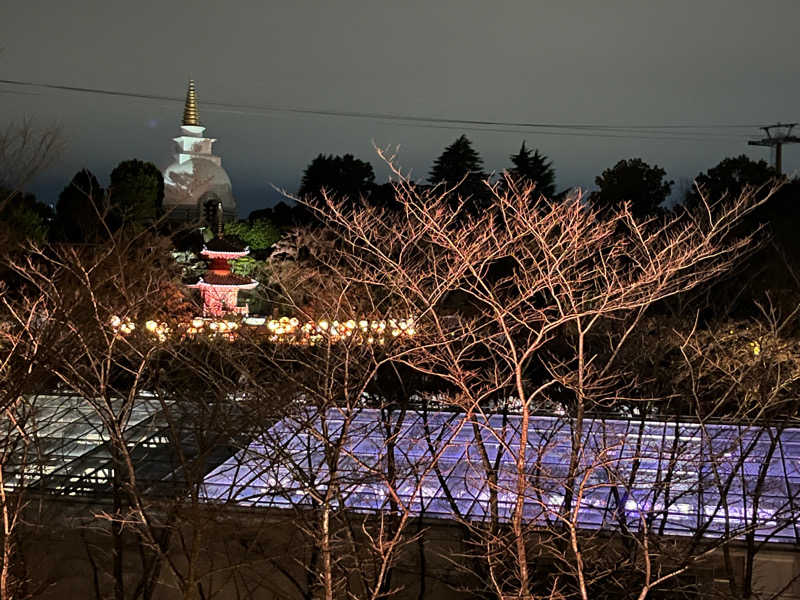 くしさんのよみうりランド眺望温泉 花景の湯のサ活写真