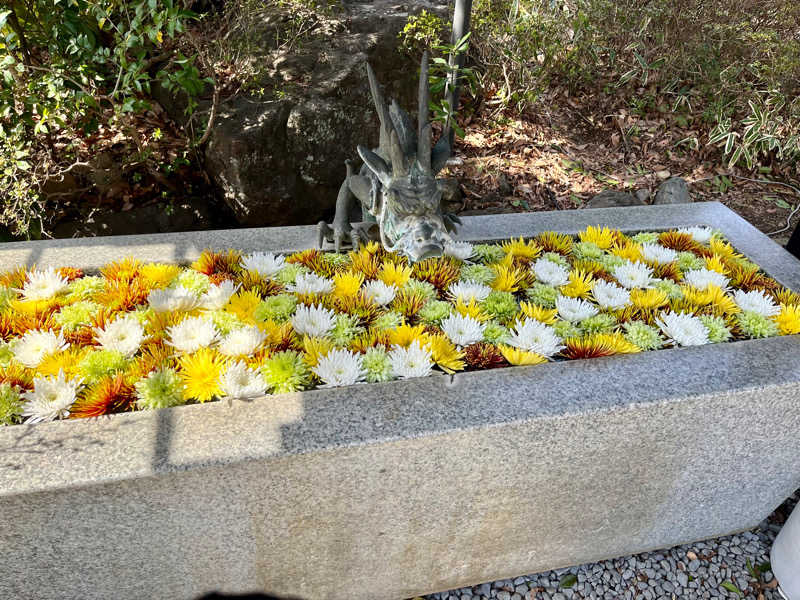 くしさんのよみうりランド眺望温泉 花景の湯のサ活写真