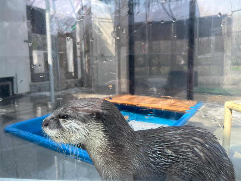 くしさんのよみうりランド眺望温泉 花景の湯のサ活写真