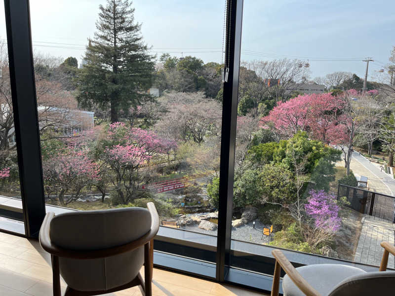 くしさんのよみうりランド眺望温泉 花景の湯のサ活写真