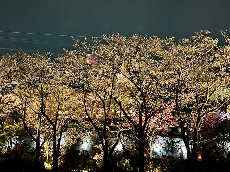 くしさんのよみうりランド眺望温泉 花景の湯のサ活写真