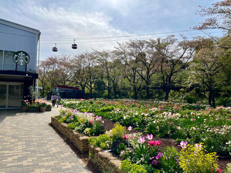 くしさんのよみうりランド眺望温泉 花景の湯のサ活写真