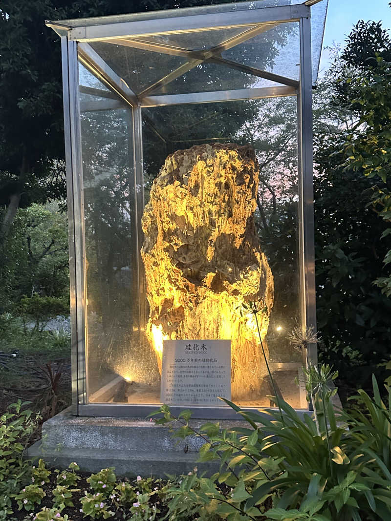 こずろさんのよみうりランド眺望温泉 花景の湯のサ活写真