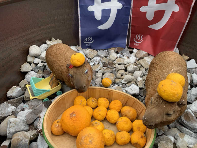 せーちやんさんの富士山天然水SPA サウナ鷹の湯のサ活写真