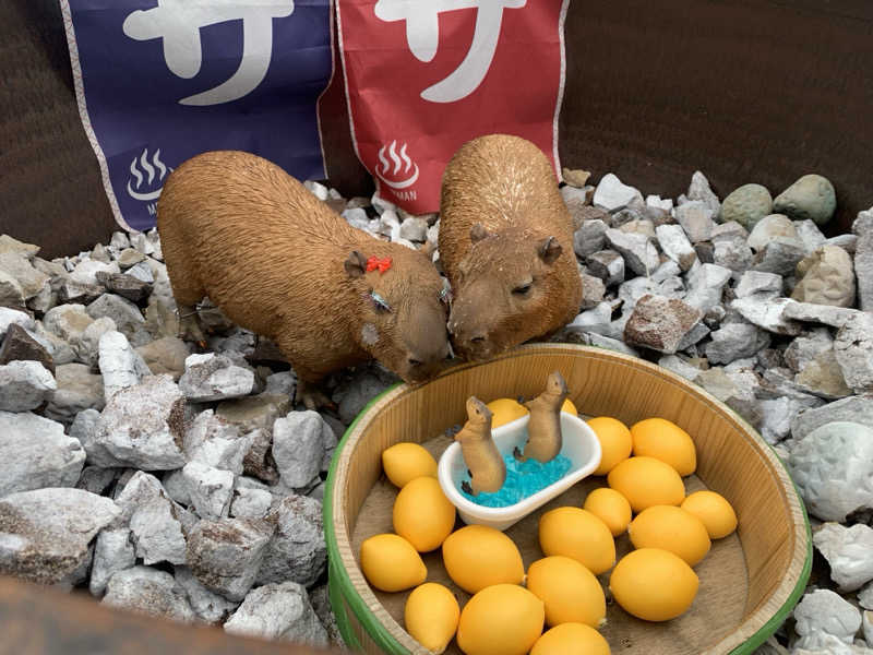 せーちやんさんの富士山天然水SPA サウナ鷹の湯のサ活写真