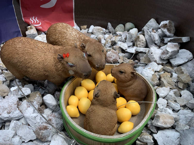 せーちやんさんの富士山天然水SPA サウナ鷹の湯のサ活写真