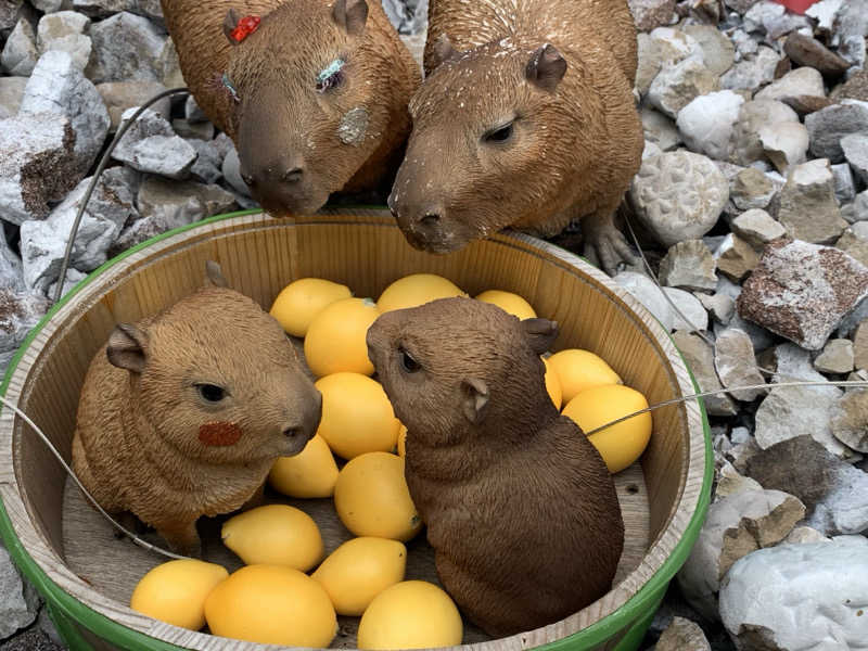 せーちやんさんの富士山天然水SPA サウナ鷹の湯のサ活写真