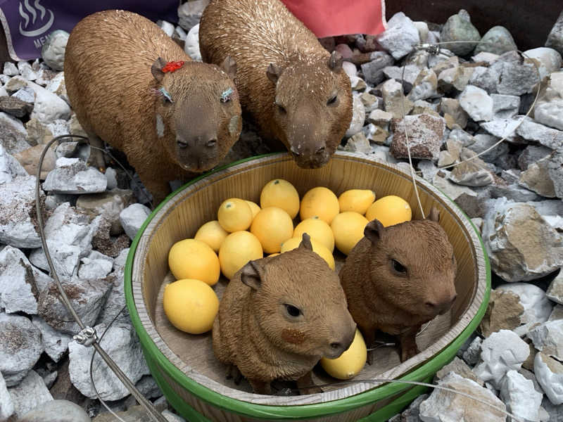 せーちやんさんの富士山天然水SPA サウナ鷹の湯のサ活写真