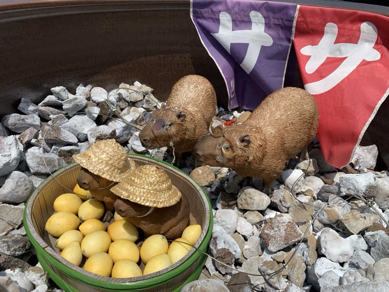 せーちやんさんの富士山天然水SPA サウナ鷹の湯のサ活写真