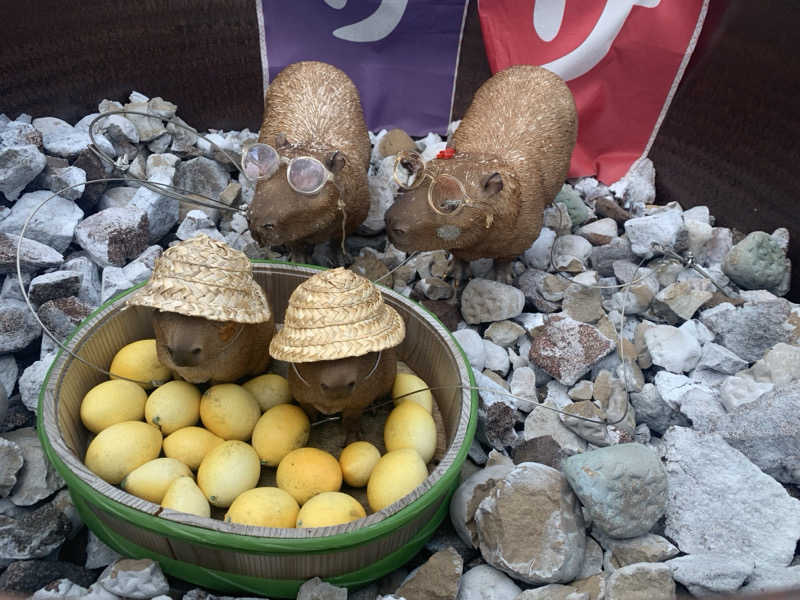 せーちやんさんの富士山天然水SPA サウナ鷹の湯のサ活写真