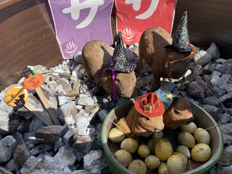 せーちやんさんの富士山天然水SPA サウナ鷹の湯のサ活写真