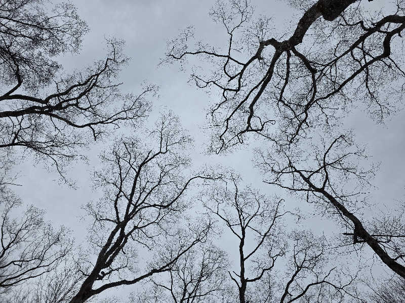 ばおばぶさんのThe Saunaのサ活写真