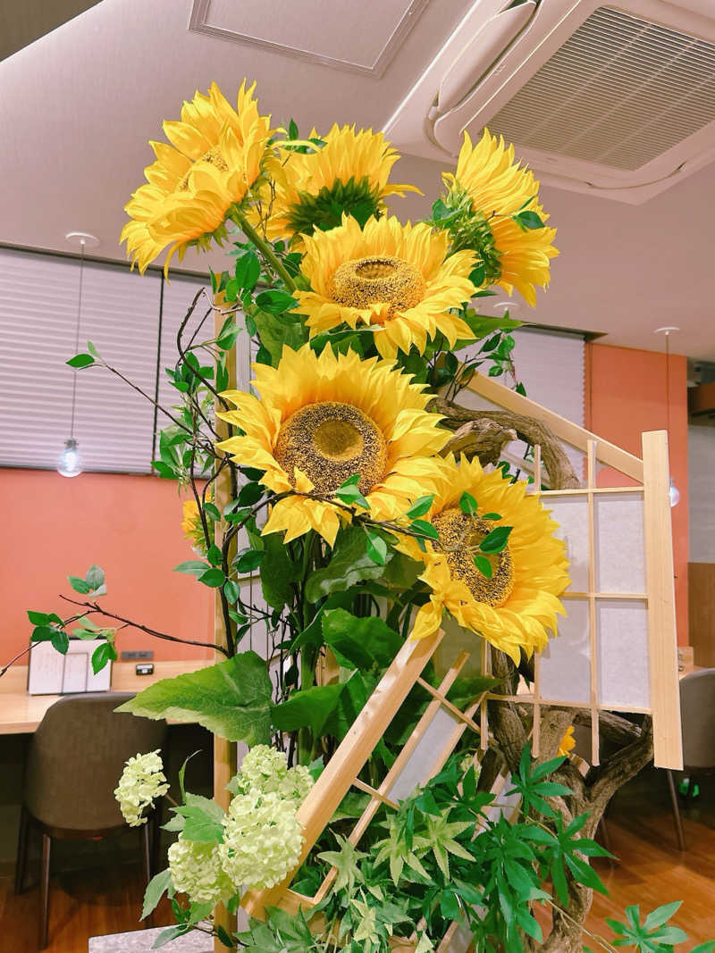 ふくさんの朝日湯源泉ゆいるのサ活写真