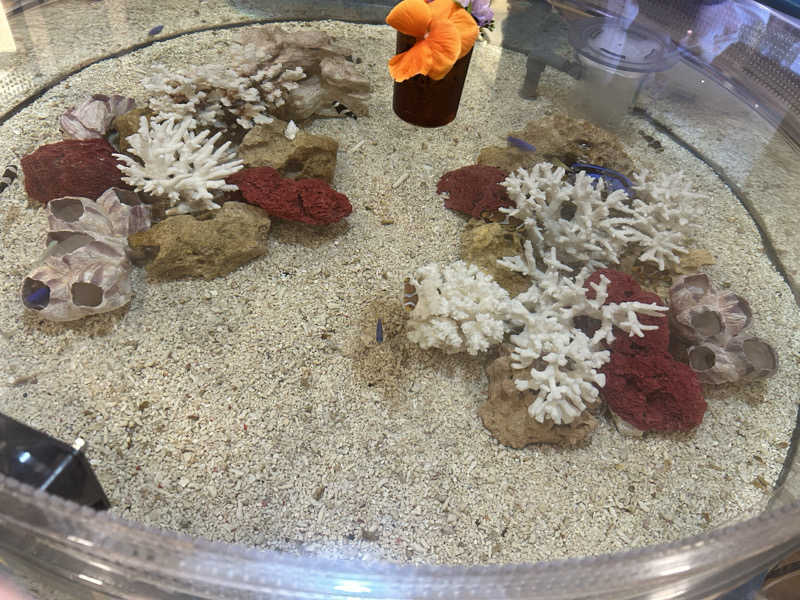 ふくさんの福美湯のサ活写真