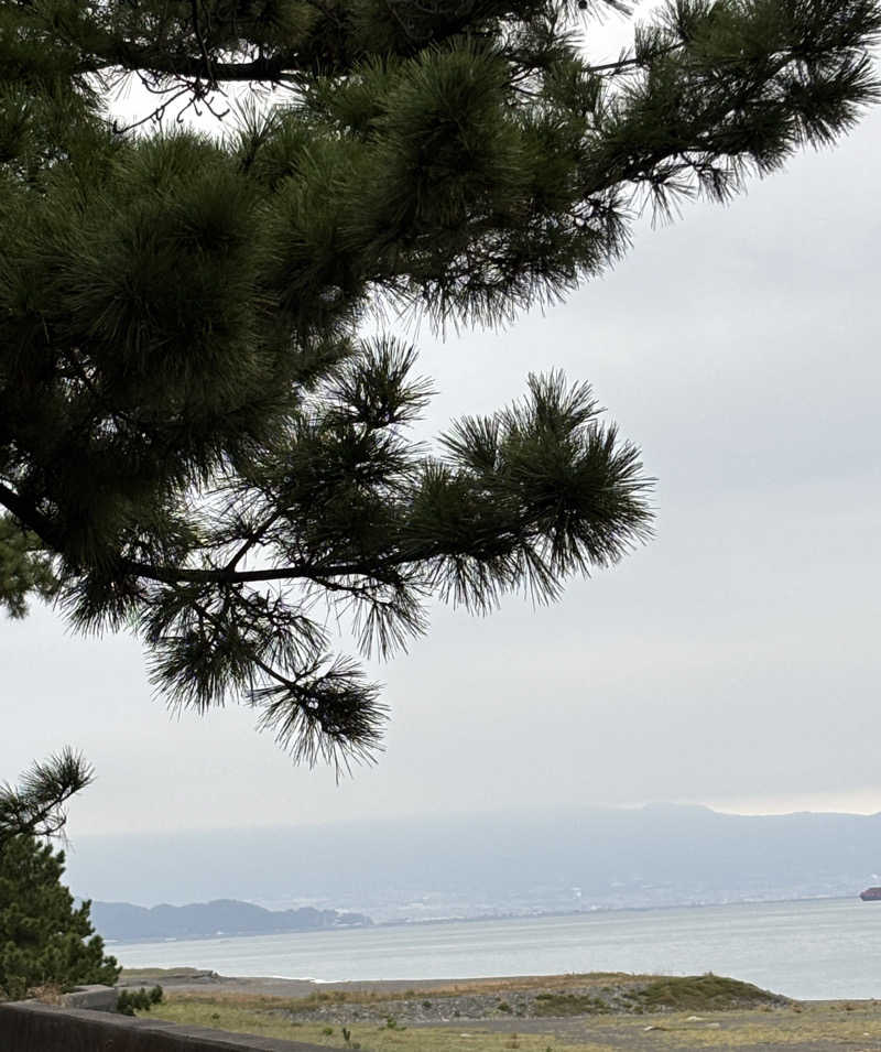 ネオストリームロウリュさんのサウナしきじのサ活写真