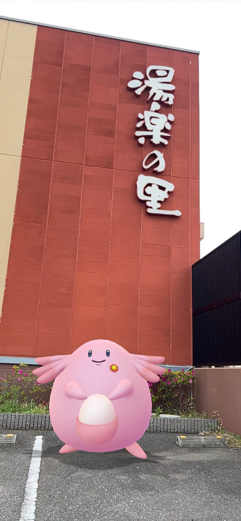ラッキーさんの酒々井温泉 湯楽の里のサ活写真