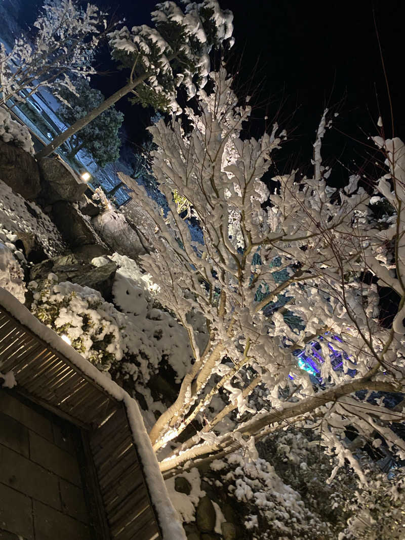 ぷれじでんとやまださんのさがみ湖温泉 うるりのサ活写真