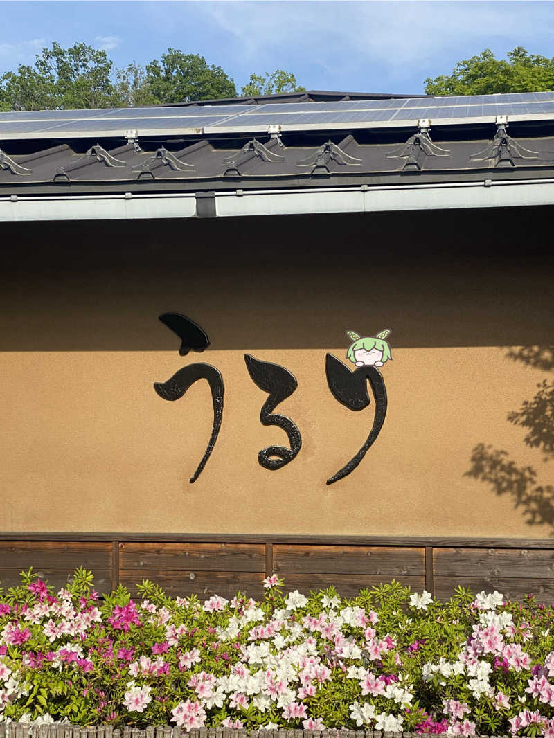 ぷれじでんとやまださんのさがみ湖温泉 うるりのサ活写真