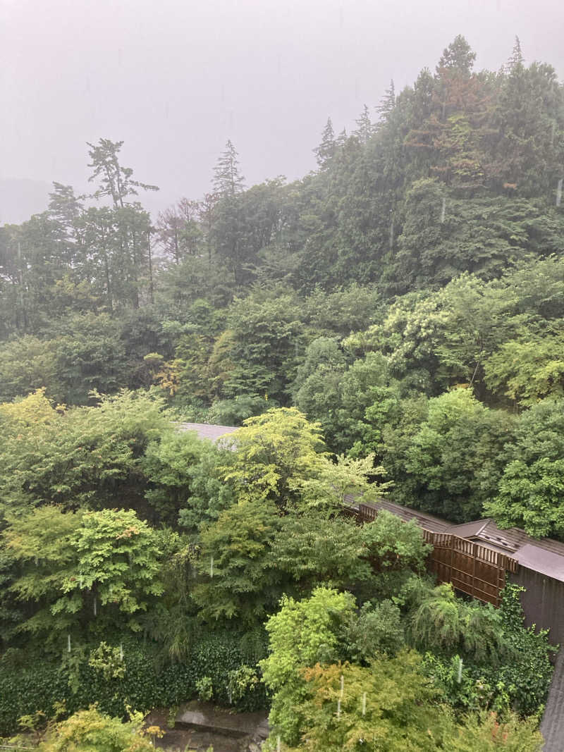 サ助さんの箱根小涌園 天悠のサ活写真