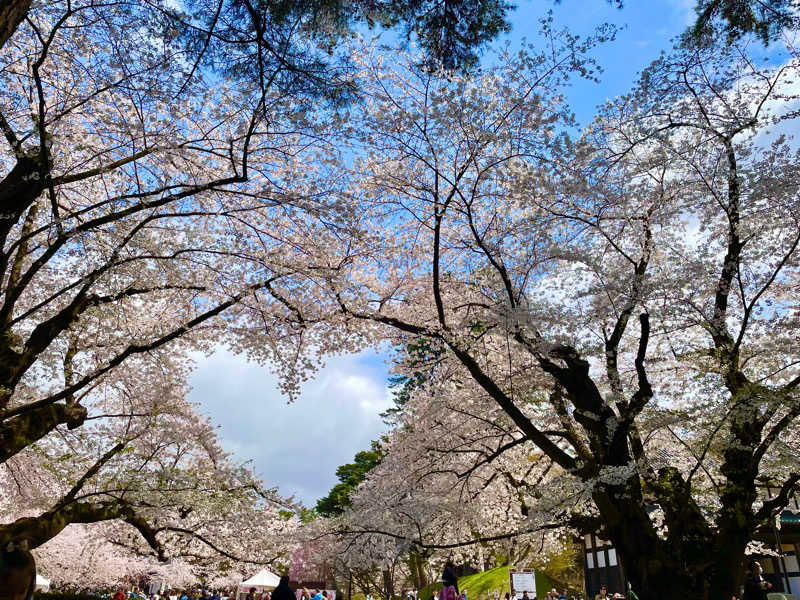 ライもんさんの岩木桜の湯 ドーミーイン弘前のサ活写真