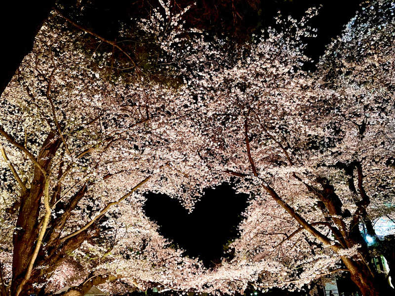 ライもんさんの岩木桜の湯 ドーミーイン弘前のサ活写真