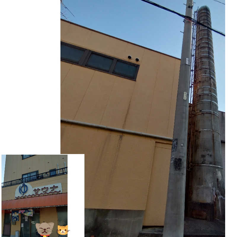 ちぃ坊さんの岩本湯のサ活写真