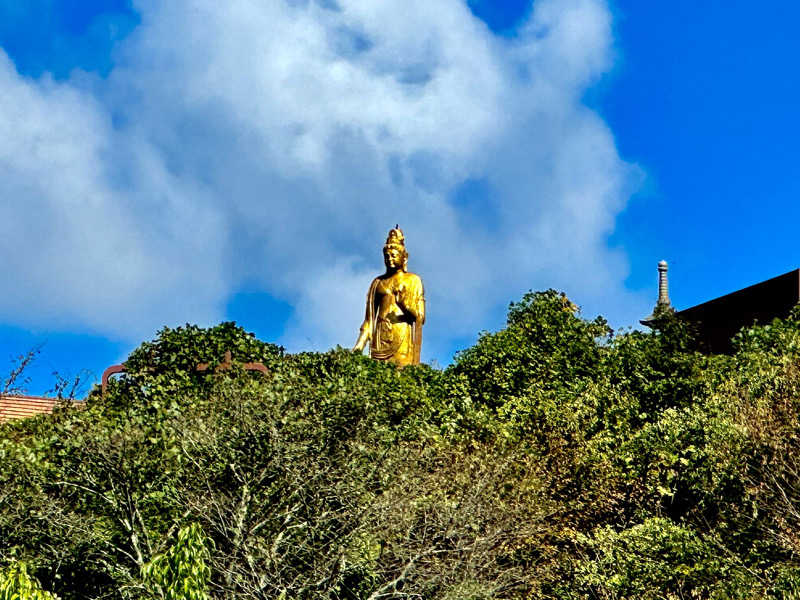 ゆるととさんの草山温泉 やまもりの湯(旧観音湯)のサ活写真