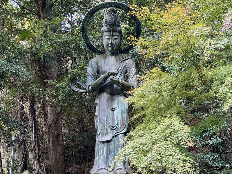 ゆるととさんのいやだに温泉大師の湯のサ活写真