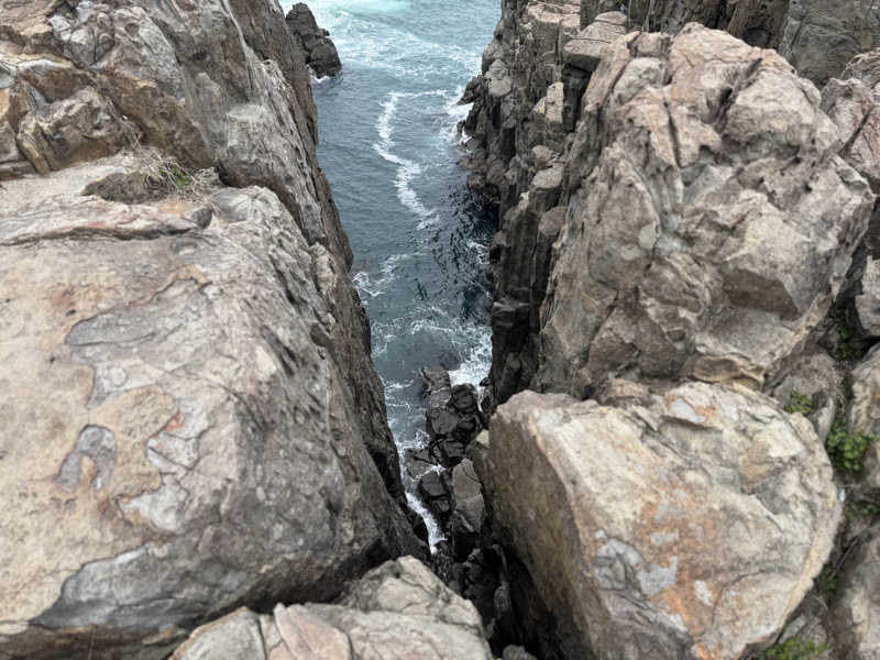 ゆるととさんの三国温泉ゆあぽーとのサ活写真