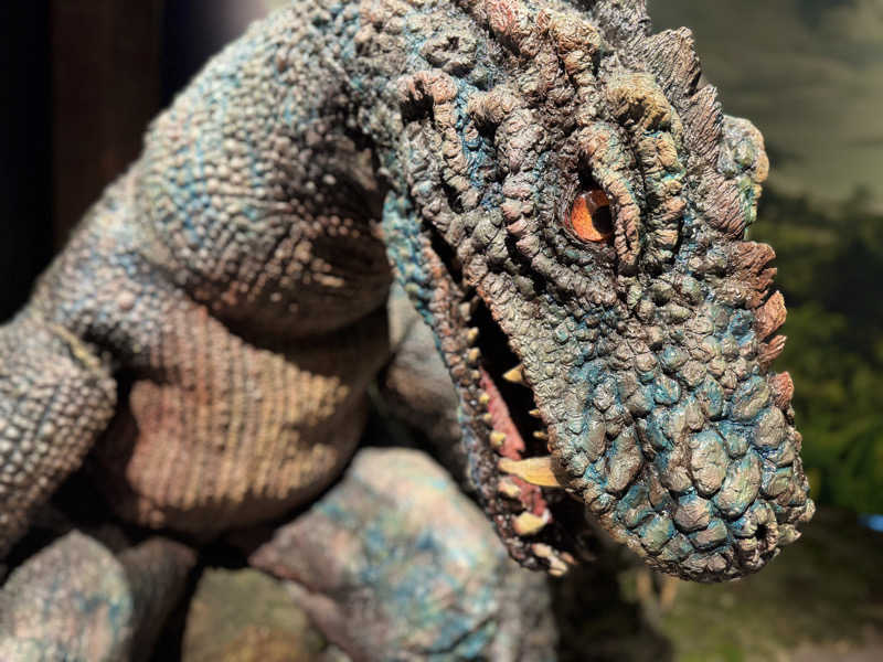 ゆるととさんのHOTEL星取テラスせきがねのサ活写真