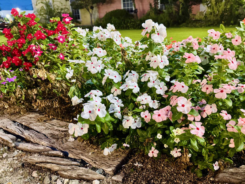 ゆるととさんのスーパー銭湯花の湯飾磨店のサ活写真