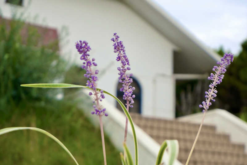 ゆるととさんのパルシェ香りの湯のサ活写真
