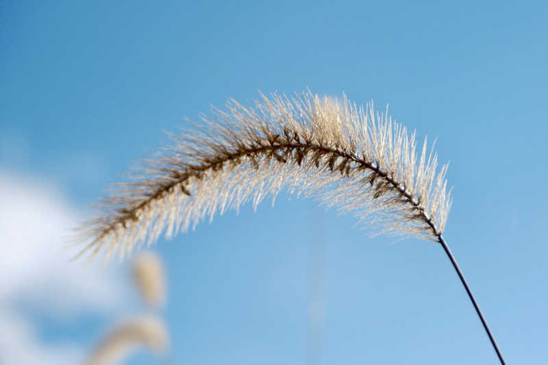 ゆるととさんの天然温泉湯庵のサ活写真