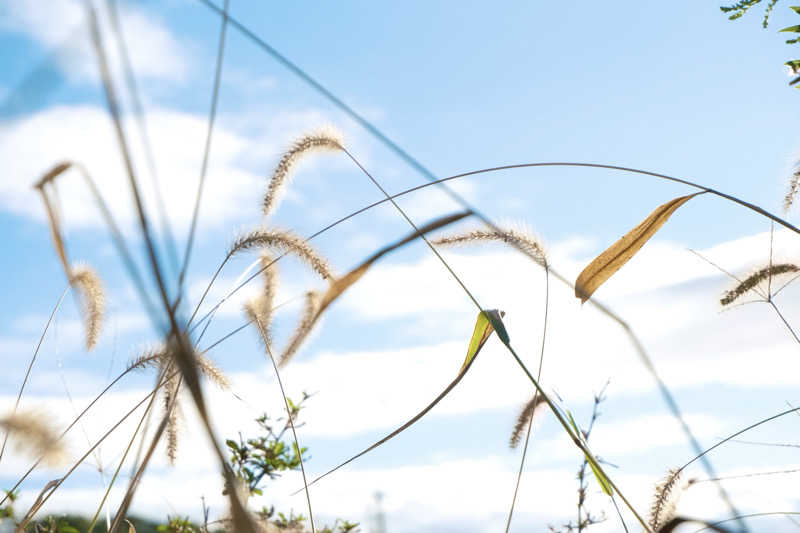 ゆるととさんの天然温泉湯庵のサ活写真